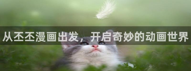 羞羞漫画旧网页：从丕丕漫画出发，开启奇妙的动画世界